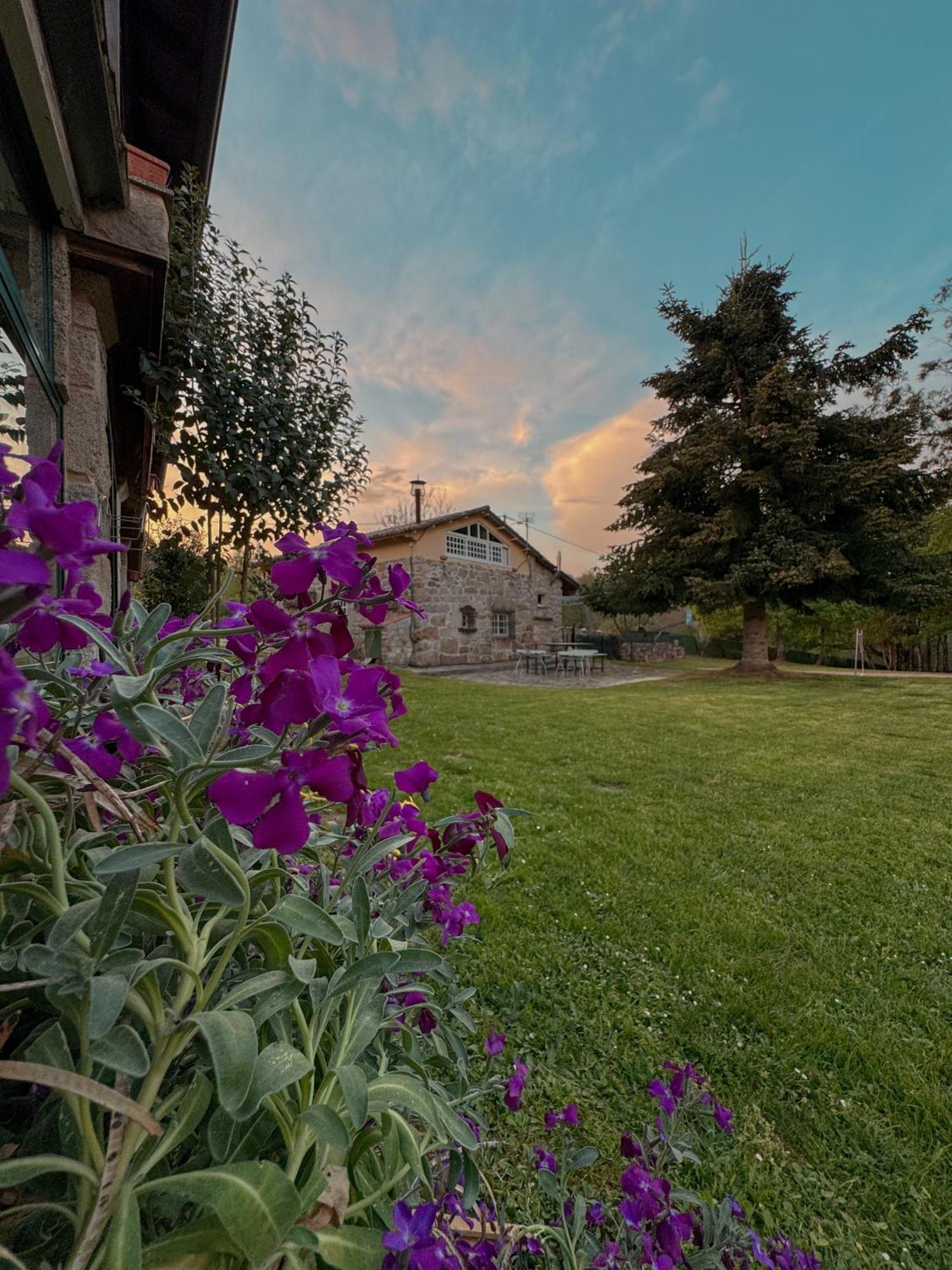Aldea Figueiredo Konuk evi Ourense Dış mekan fotoğraf